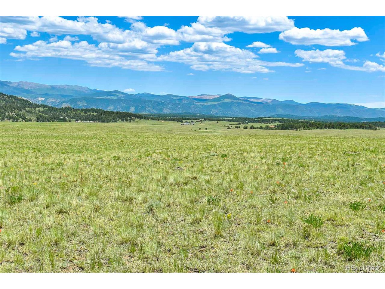 63 County Road Guffey, CO 80820 - Photo 30 of 35 Gallery Image 30
