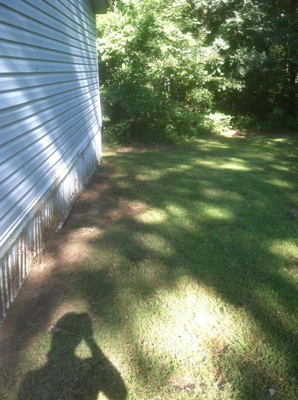 1165 Bicknell Road Clarkrange, TN 38553 - Photo 7 of 10 IMG_0067