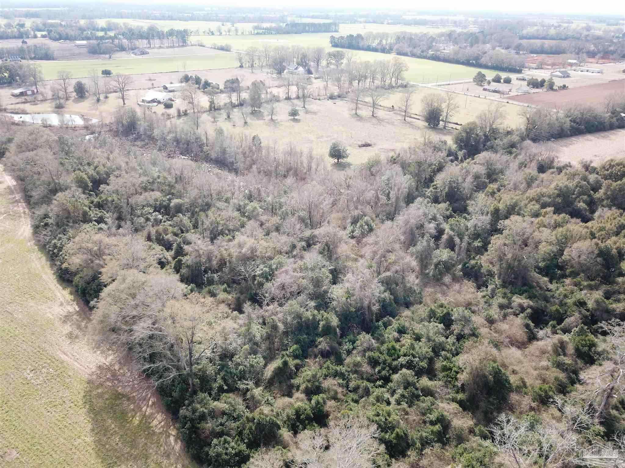 4 Jay Jay, FL 32565 - Photo 4 of 6