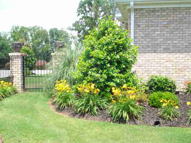 102 Limelight Drive Anderson, SC 29621 - Photo 16 of 25 Gallery Image 16