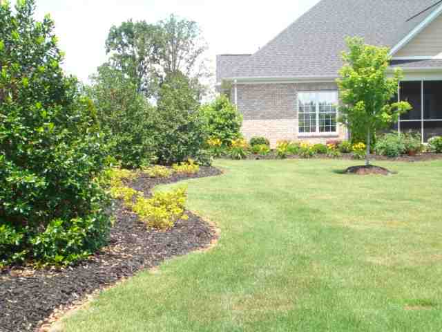102 Limelight Drive Anderson, SC 29621 - Photo 19 of 25 Gallery Image 19