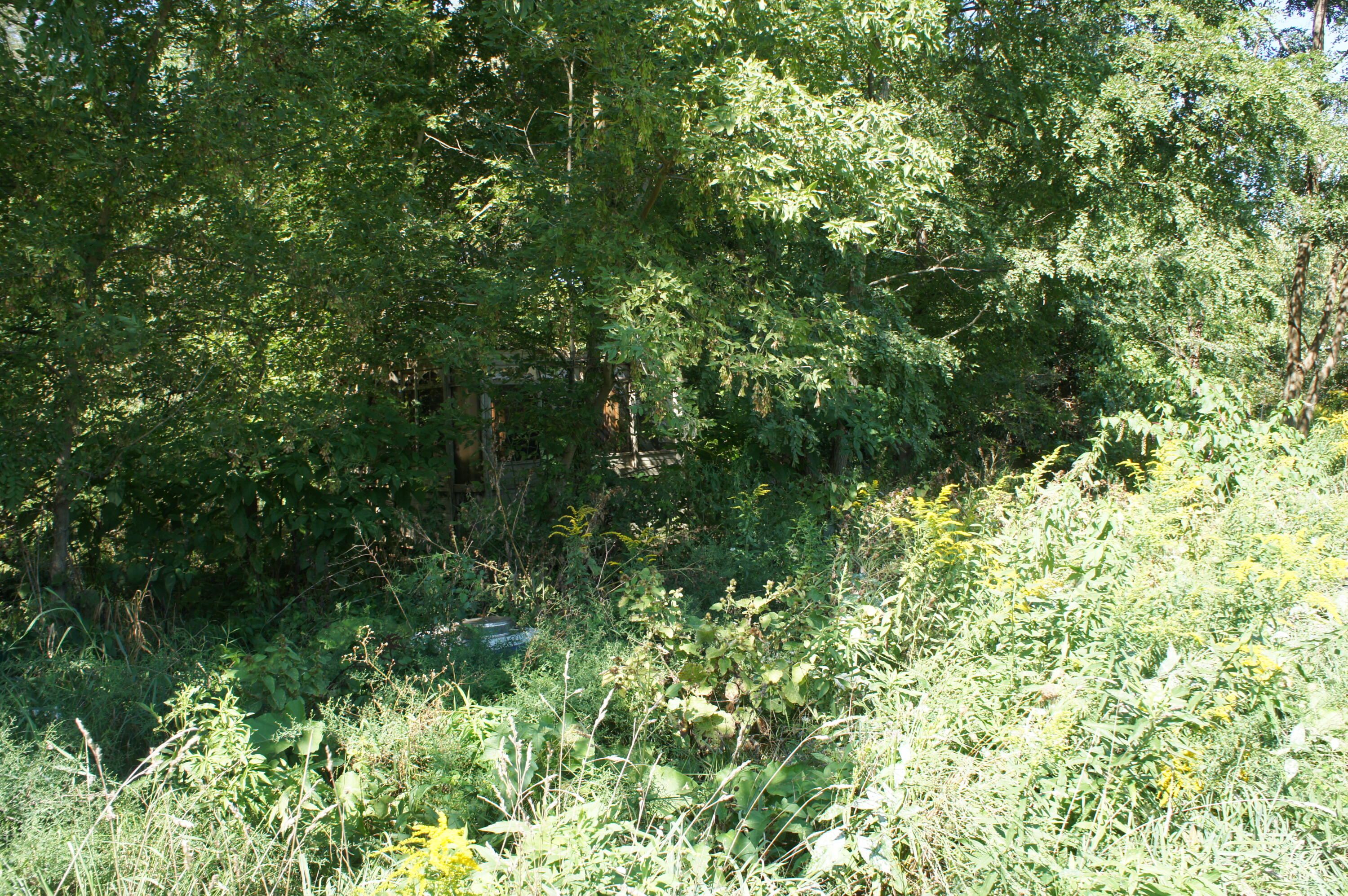 11662 Floating Bridge Road Marcellus, MI 49067 - Photo 3 of 12 DSC04577