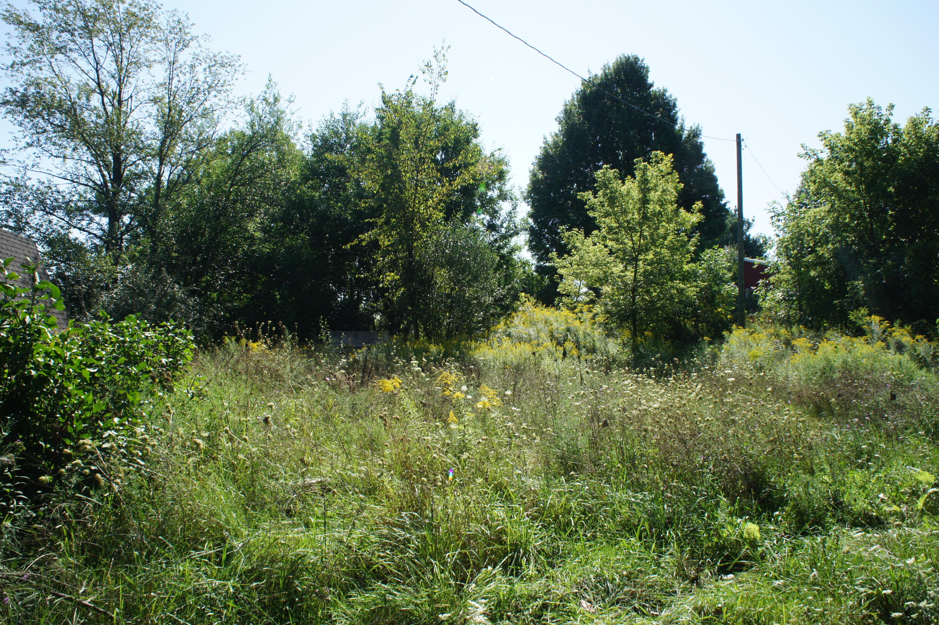 11662 Floating Bridge Road Marcellus, MI 49067 - Photo 9 of 12 DSC04589