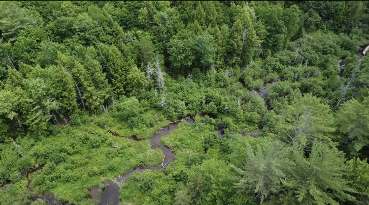 Lot 14 Hanslip Road Wilton, ME 04294 - Photo 4 of 11