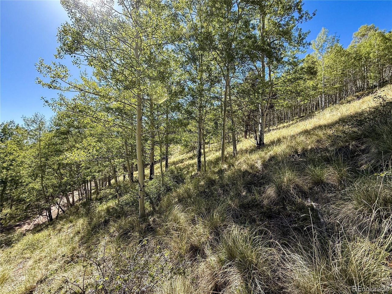 6829 Ryland Road San Luis, CO 81152 - Photo 24 of 28 a view of a yard with a tree