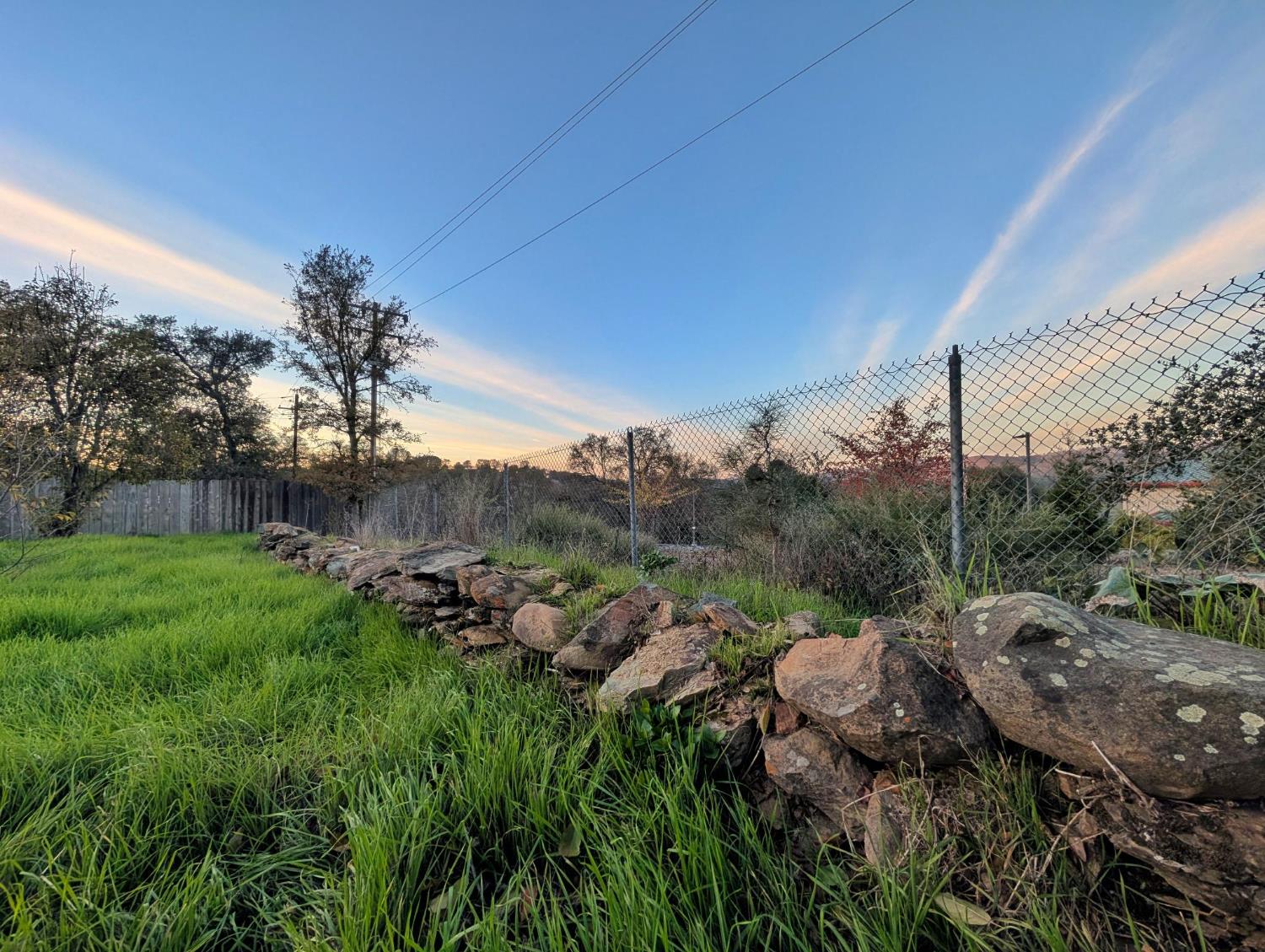 600 Gold Oak Road San Andreas, CA 95249 - Photo 42 of 46 a view of a lush green forest