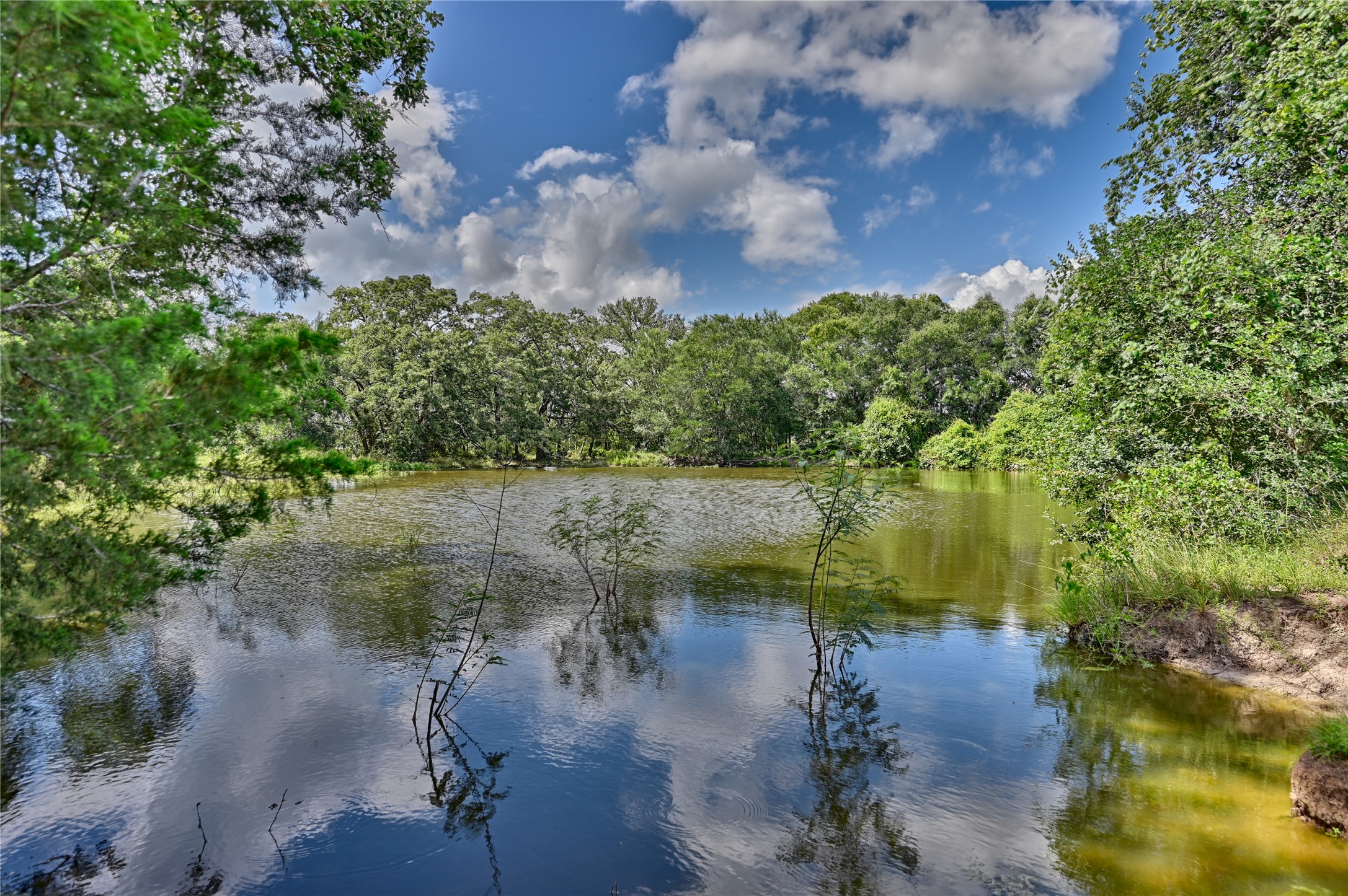 0 Homeyer Mountain Road Burton, TX 77835 - Photo 14 of 17 a view of a lake in between two trees