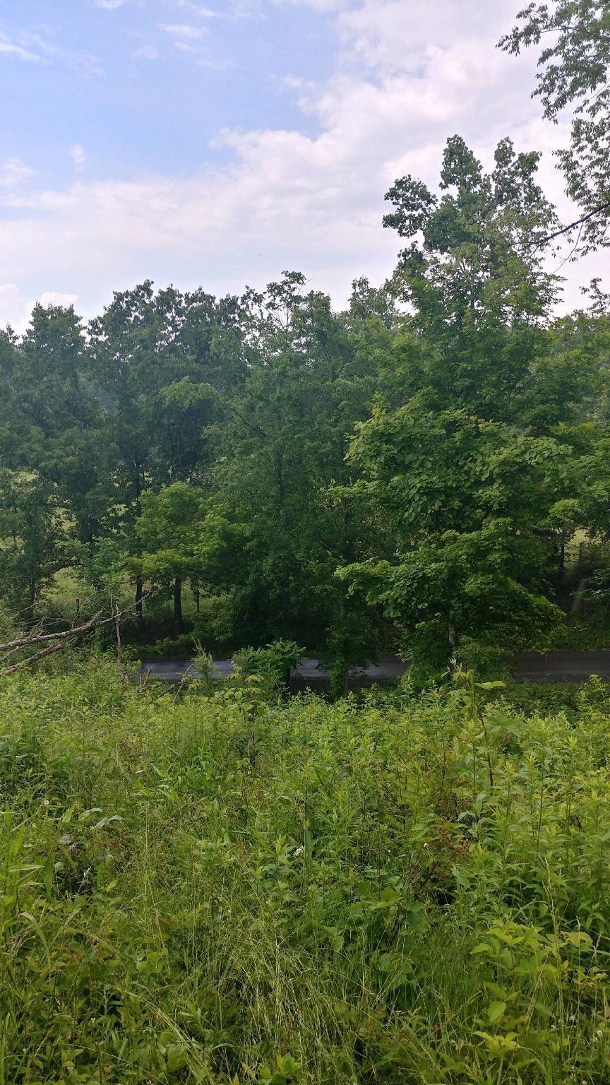 62-1 Hoke's Mill Road Ronceverte, WV 24970 - Photo 17 of 18 Gallery Image 17