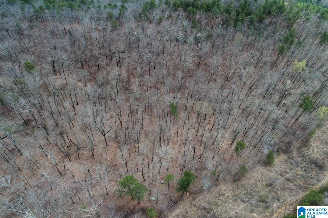 1234 High Road, Unit 1 Columbiana, AL 35051 - Photo 16 of 38