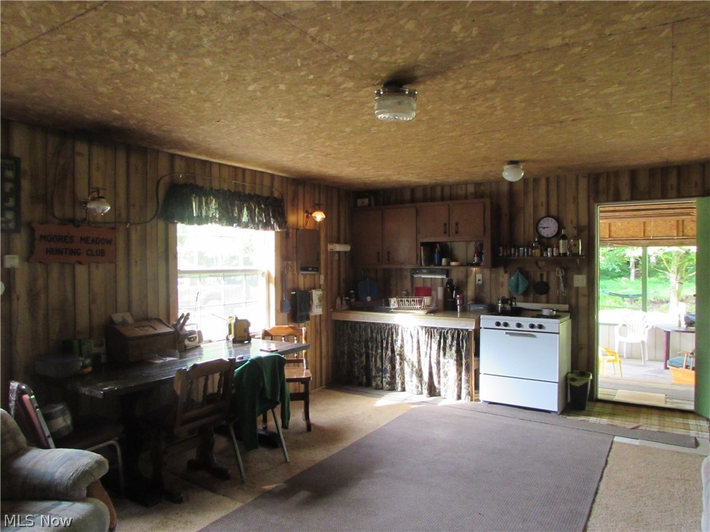 1542 Freeland Run Road Middlebourne, WV 26149 - Photo 5 of 20