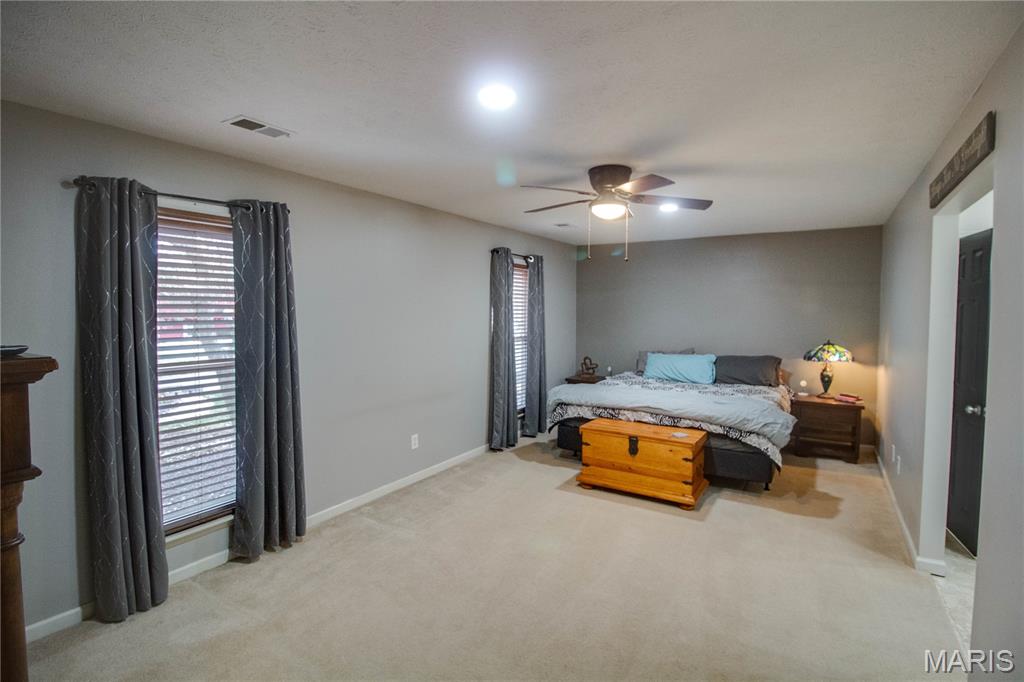 22 Islander Drive Brighton, IL 62012 - Photo 30 of 49