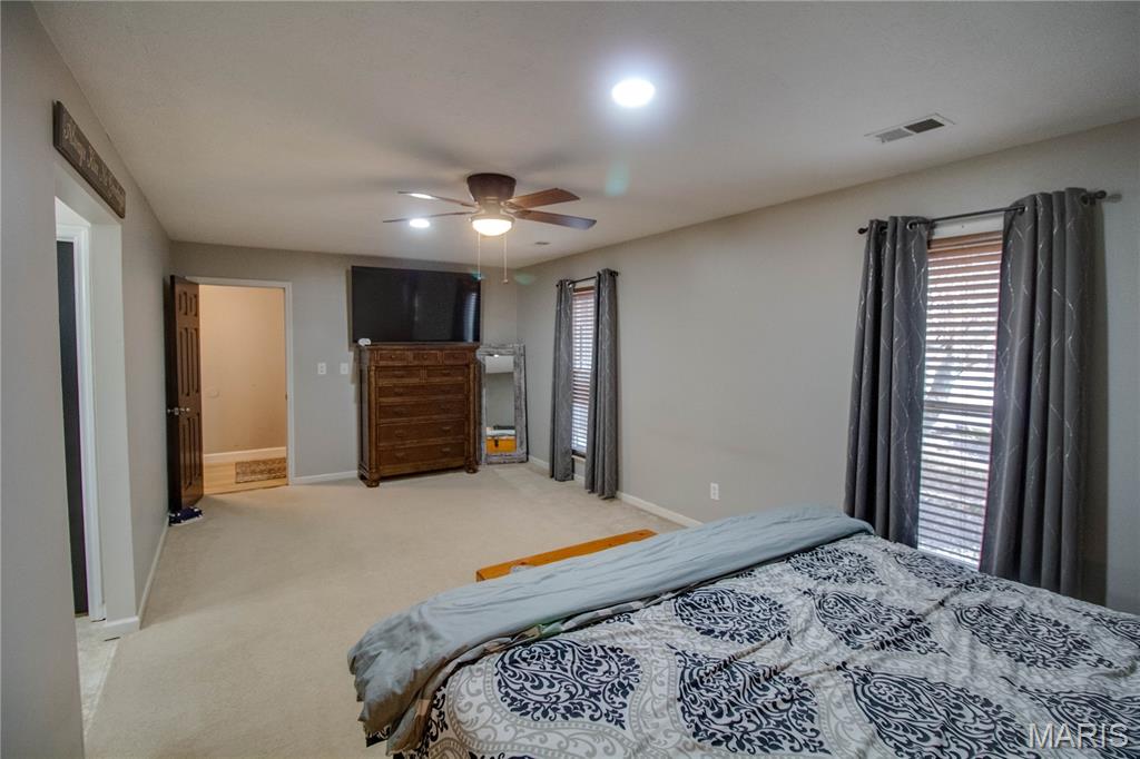 22 Islander Drive Brighton, IL 62012 - Photo 32 of 49