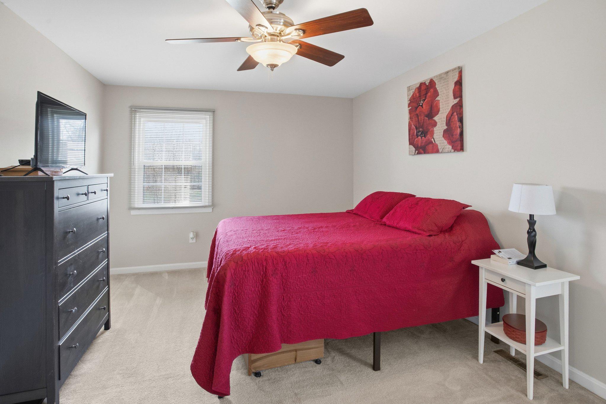 331 Joshua Road Stafford, VA 22556 - Photo 18 of 38 Cozy Primary bedroom with vibrant accents.