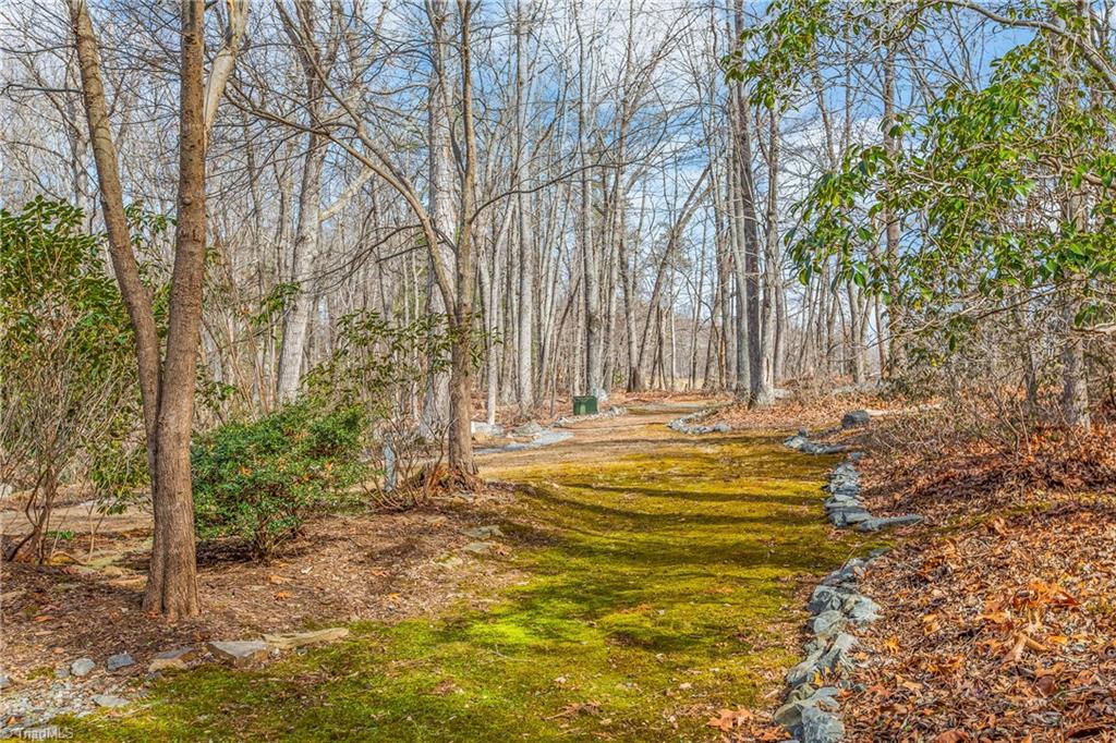 450 Pat Irwin Road Pilot Mountain, NC 27041 - Photo 41 of 48 Moss Covered Trails