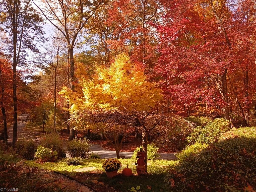 450 Pat Irwin Road Pilot Mountain, NC 27041 - Photo 47 of 48 Brilliant Autumn Color