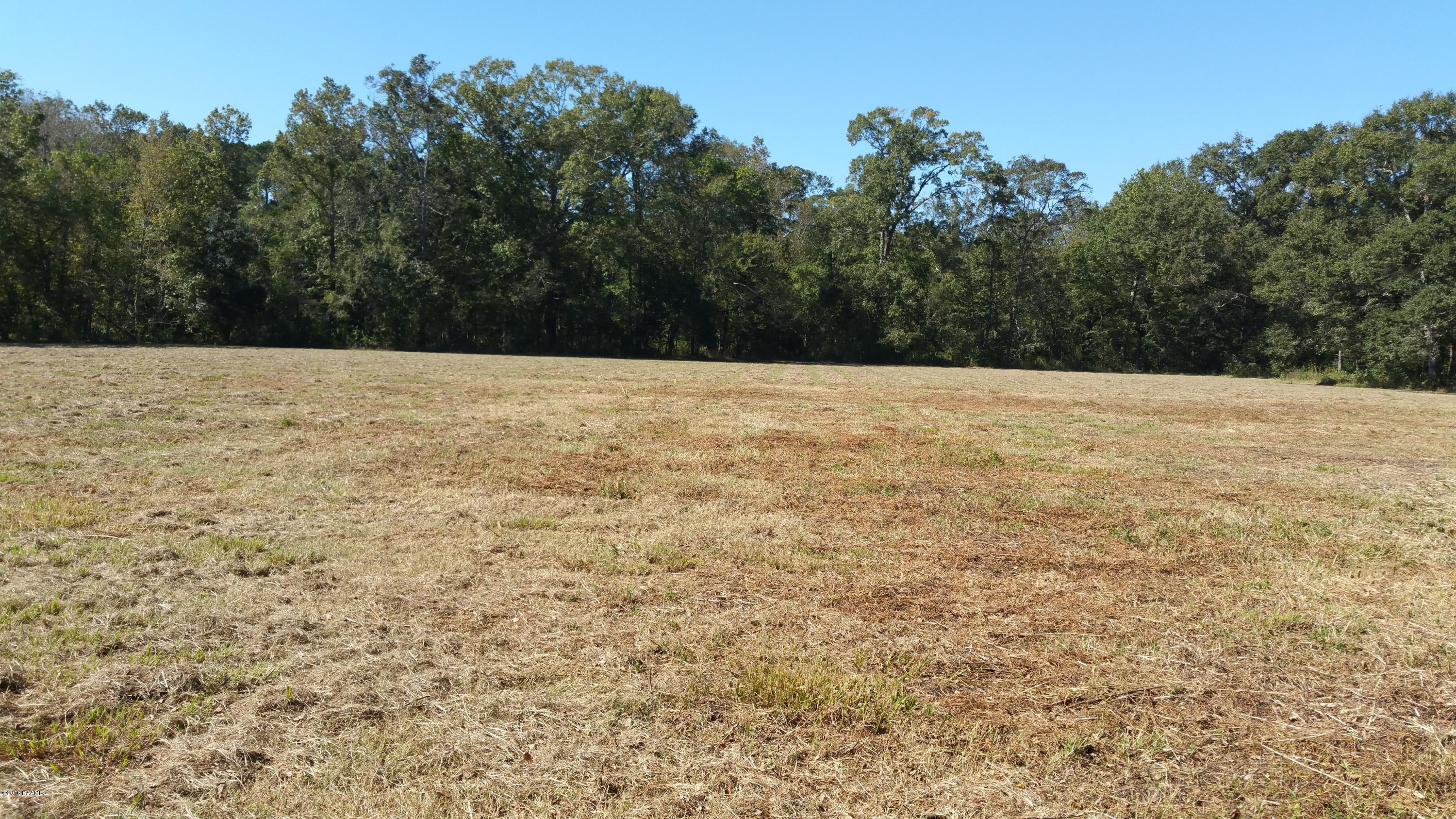 809 Beau Bassin Road Carencro, LA 70520 - Photo 4 of 19 Gallery Image 4