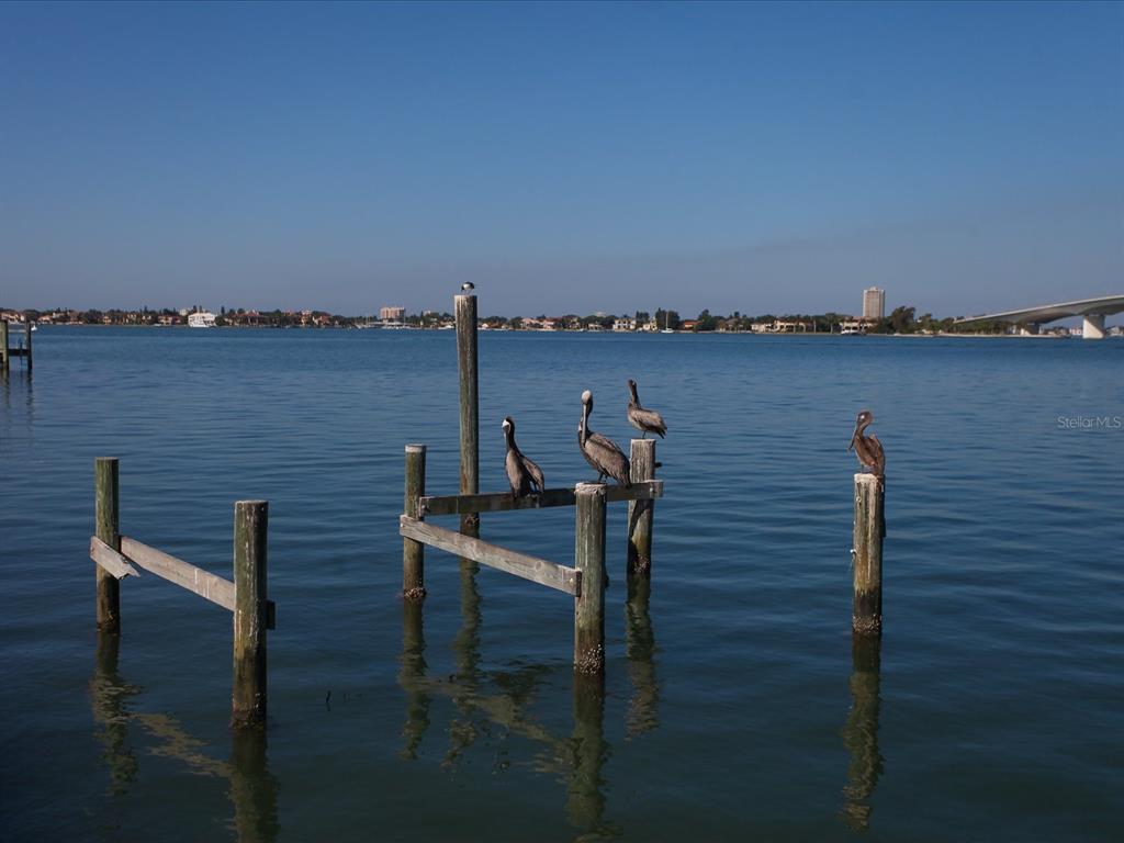 226 Golden Gate Point, Unit 44 Sarasota, FL 34236 - Photo 49 of 65 a view of a lake with sitting area