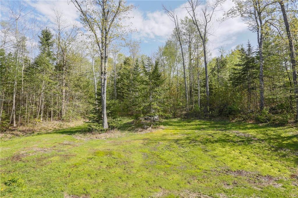 45 Woods Road Belfast, ME 04915 - Photo 20 of 21 Lawn area, back of house.