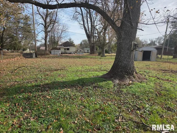 a tree in the garden of the house