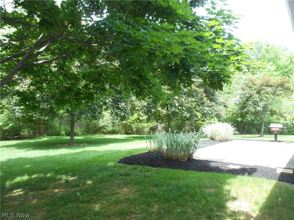 2486 Som Center Road Pepper Pike, OH 44124 - Photo 22 of 23 SERENE SETTING WITH LOTS OF TREES!