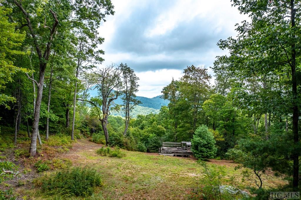 Tbd Eastern Smt Road Cashiers, NC 28717 - Photo 2 of 15 Gallery Image 2