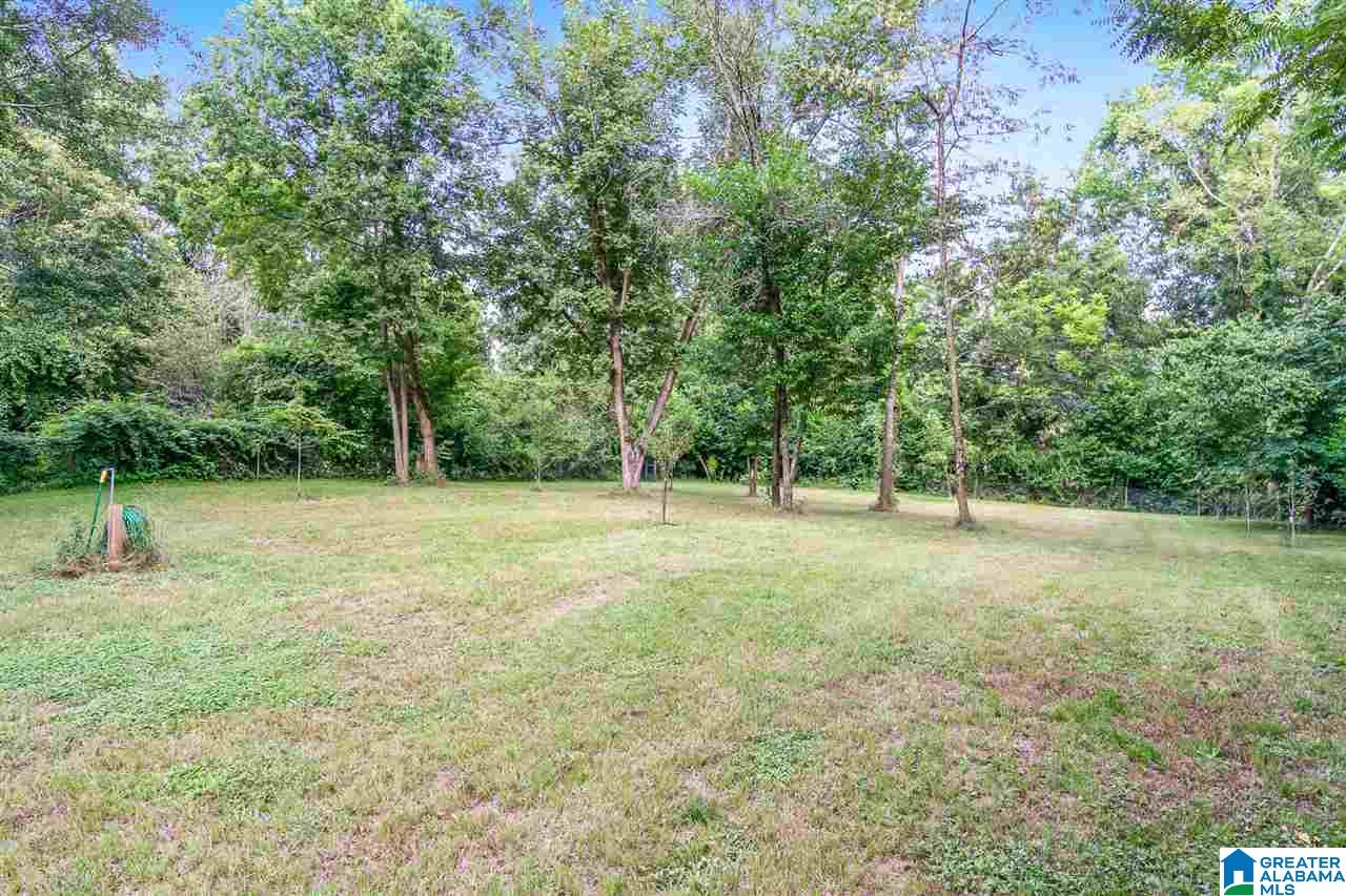 433 Shades Crest Road Birmingham, AL 35226 - Photo 6 of 50