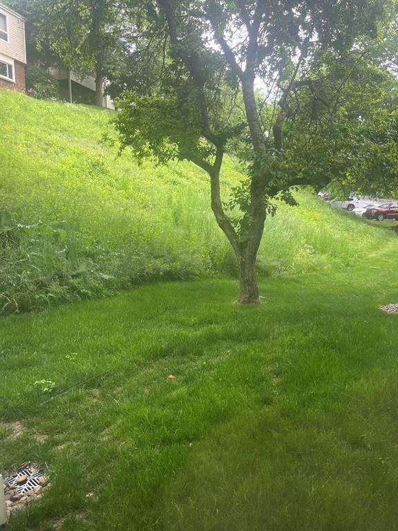 1306 Kenzie Road Robinson Township, PA 15205 - Photo 25 of 28
