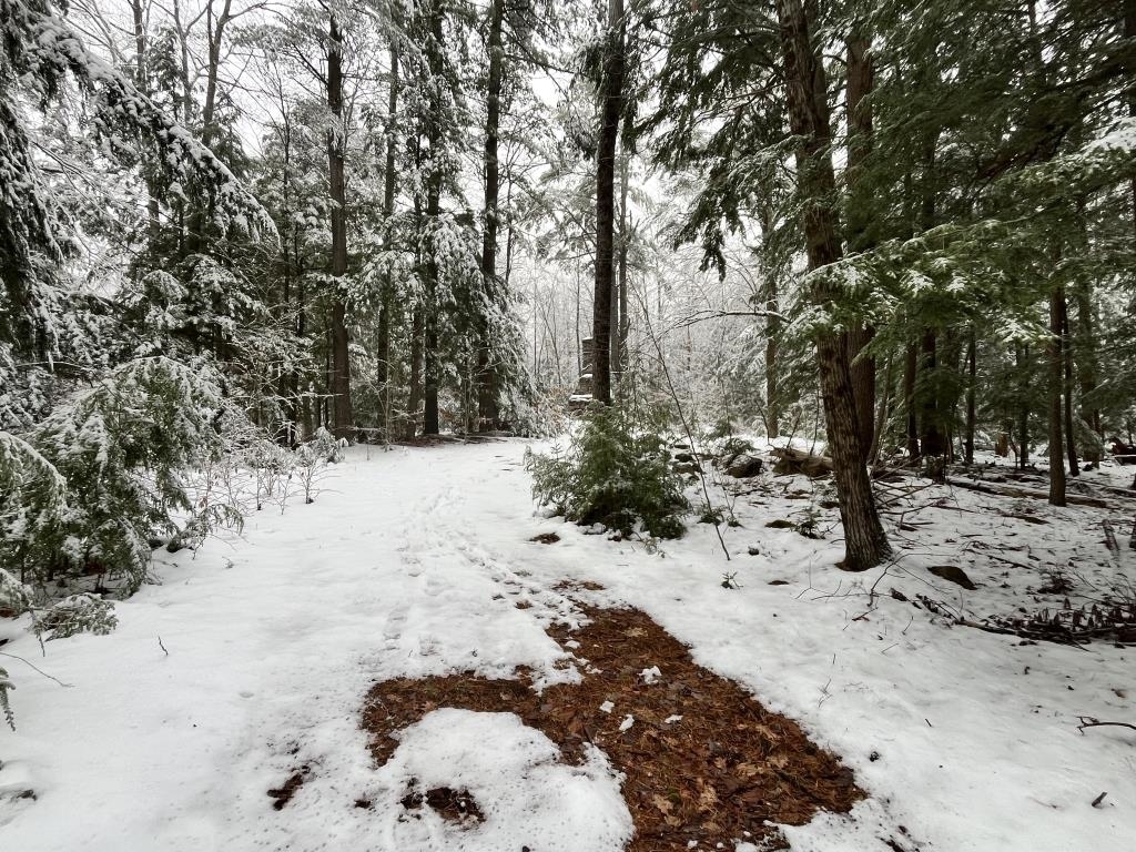 199 Bryant Road Jaffrey, NH 03452 - Photo 8 of 13