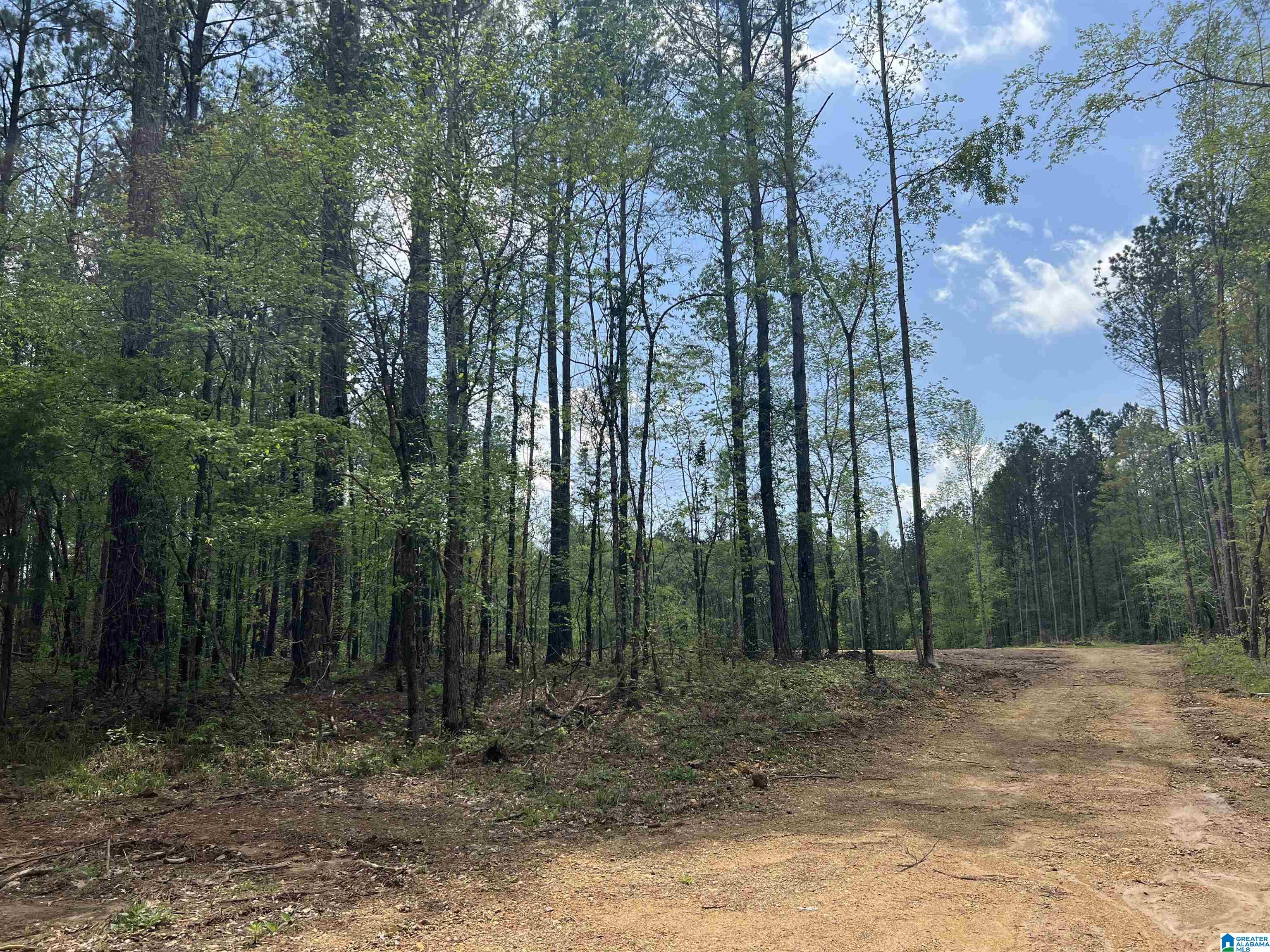 371 North Horton Road, Unit 1A Wilsonville, AL 35186 - Photo 7 of 8