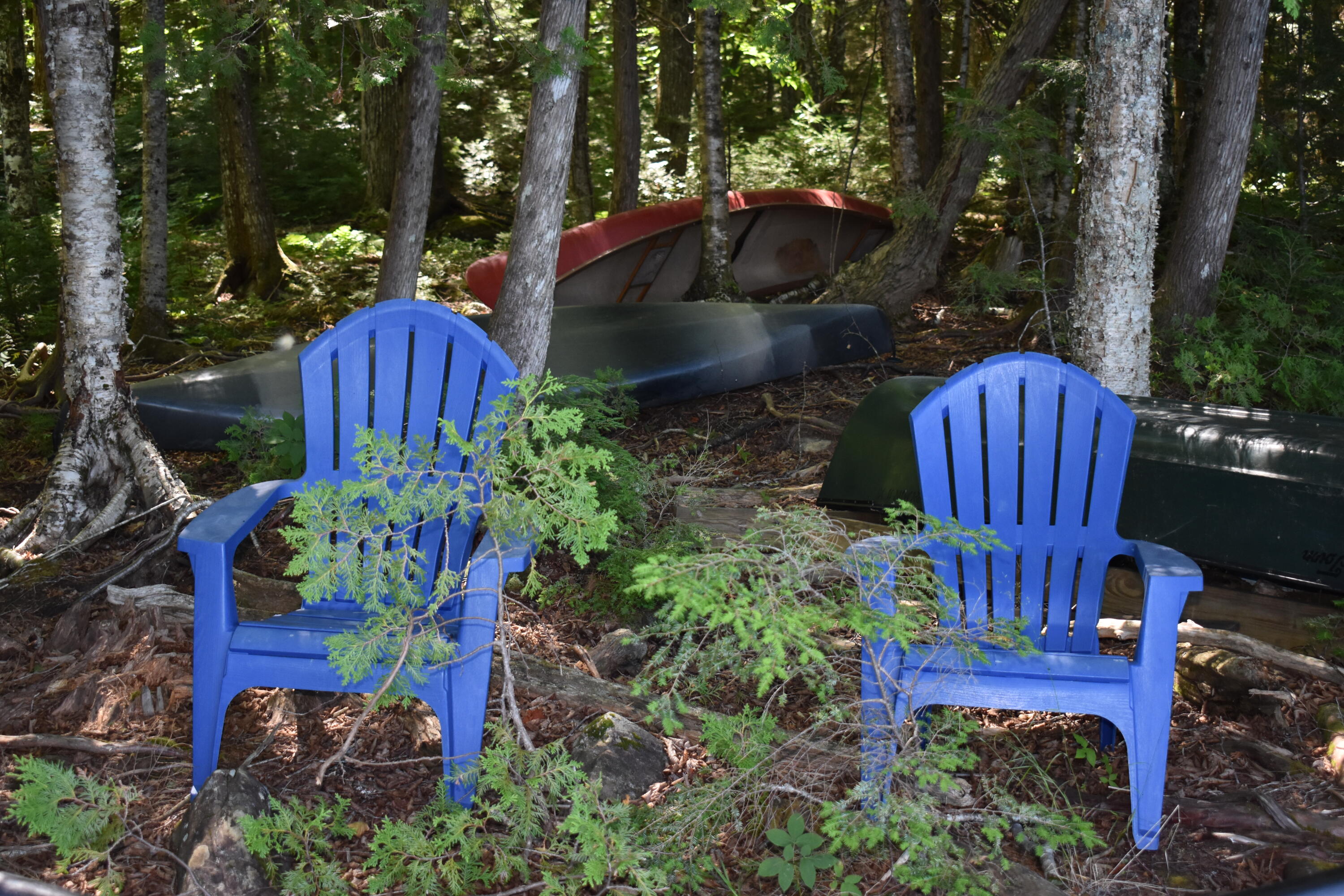 284 Spaulding Pond Road Lakeville, ME 04487 - Photo 32 of 38 DSC_0720
