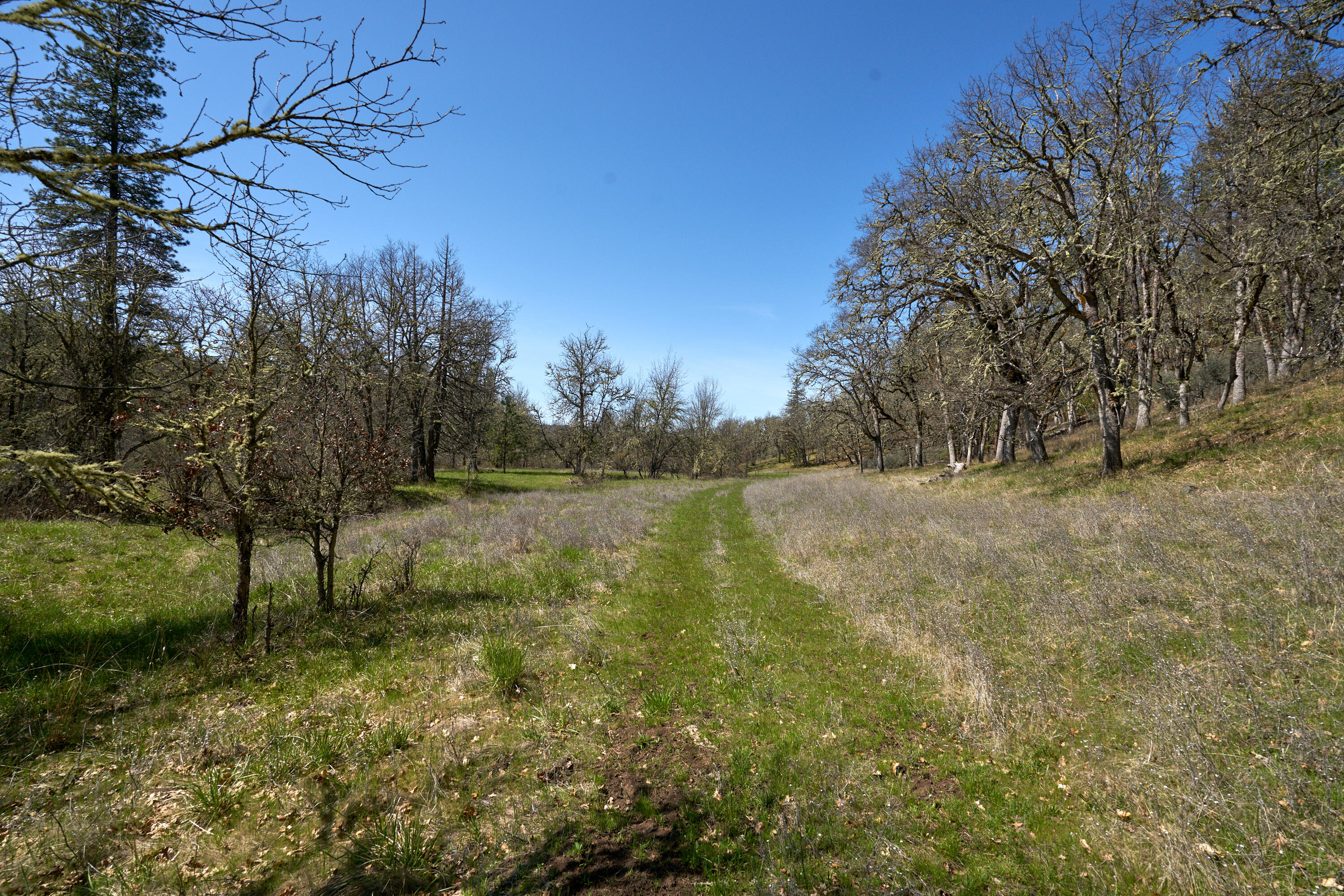 0 Obenchain Road, Unit 1102 Eagle Point, OR 97524 - Photo 9 of 18 1800 S Obenchain_91