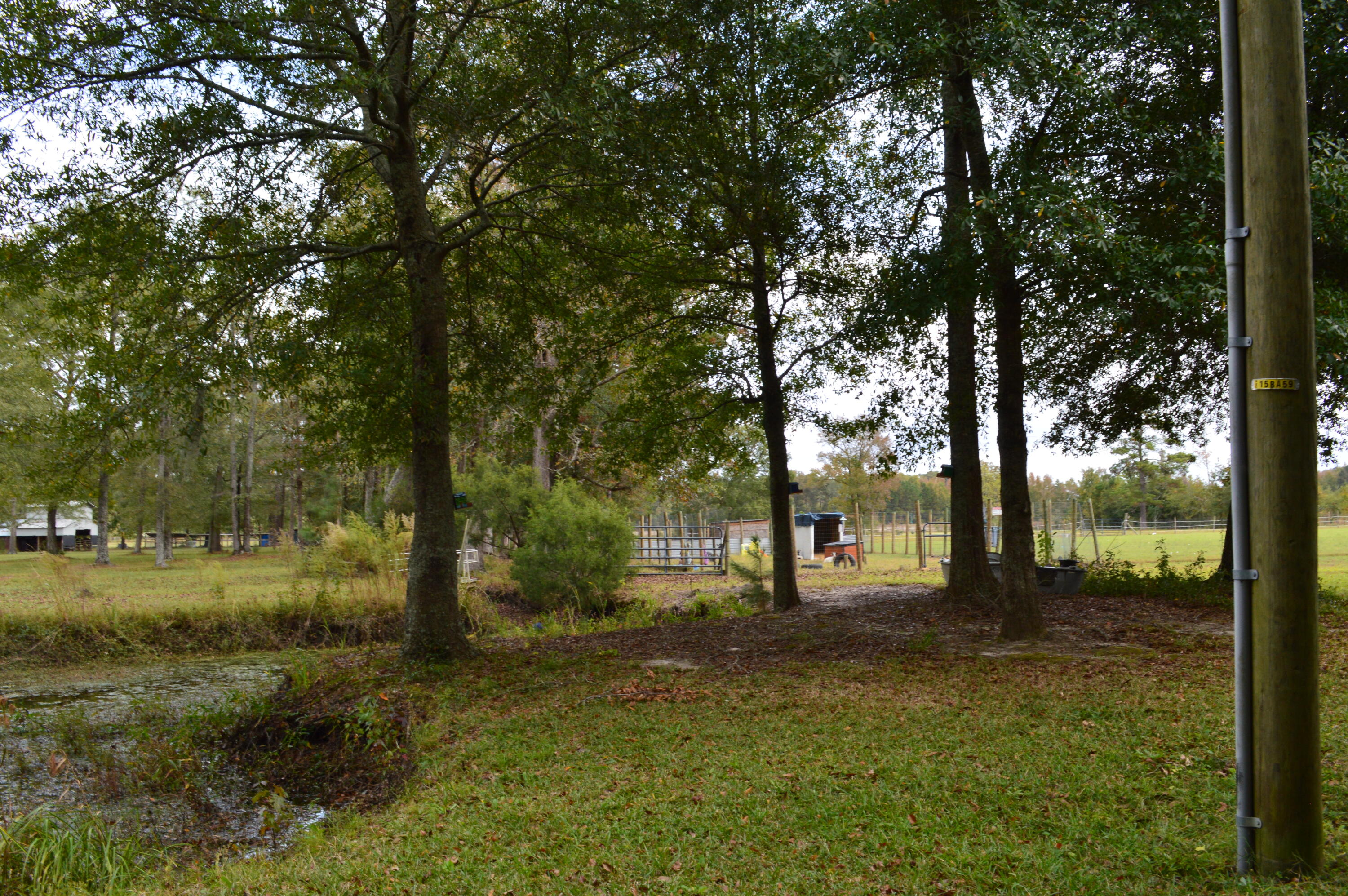 114 Van L Road Kingstree, SC 29556 - Photo 12 of 201 DSC_0021