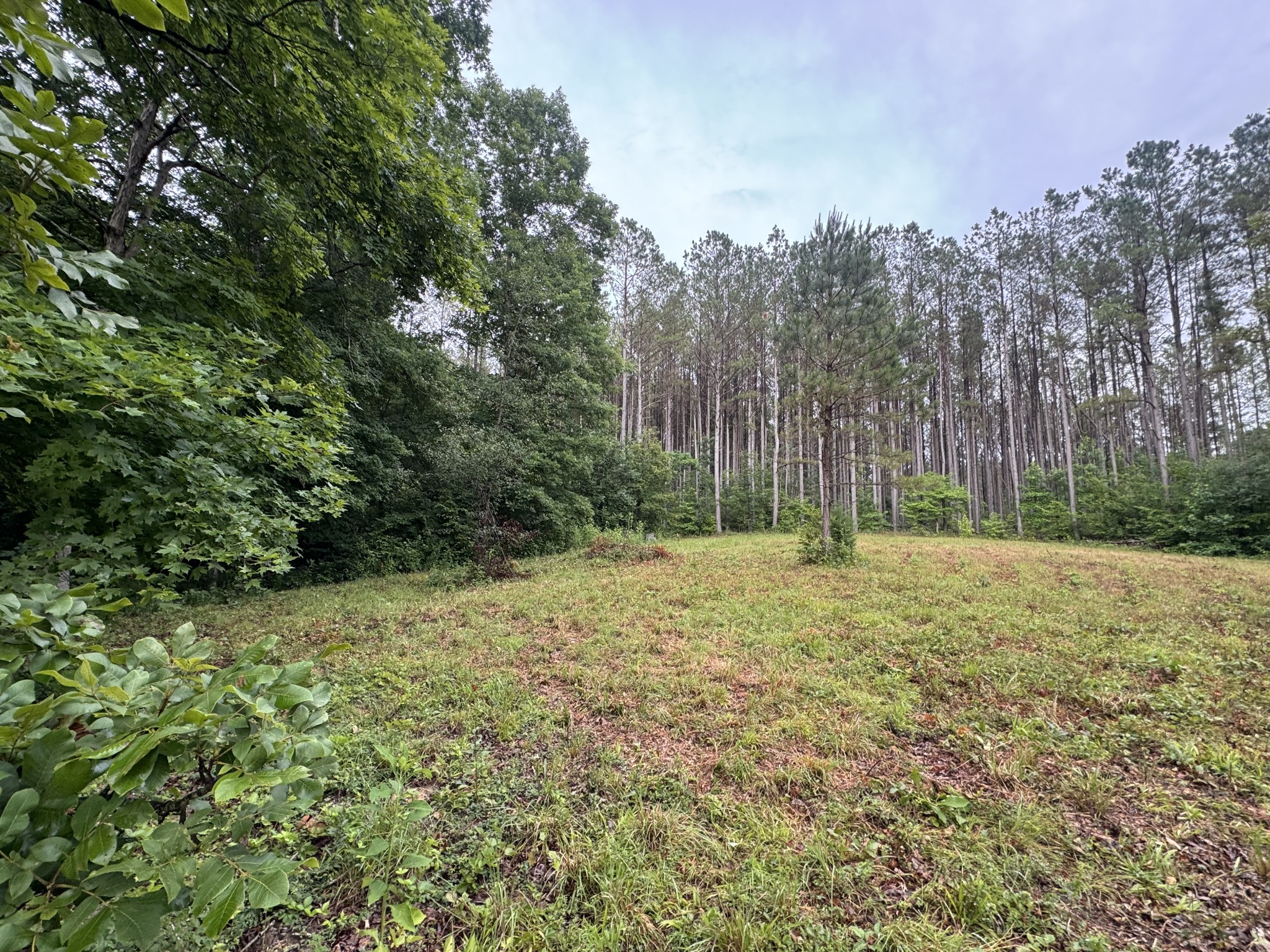 0 Johnson Hollow Road Stewart, TN 37175 - Photo 3 of 10