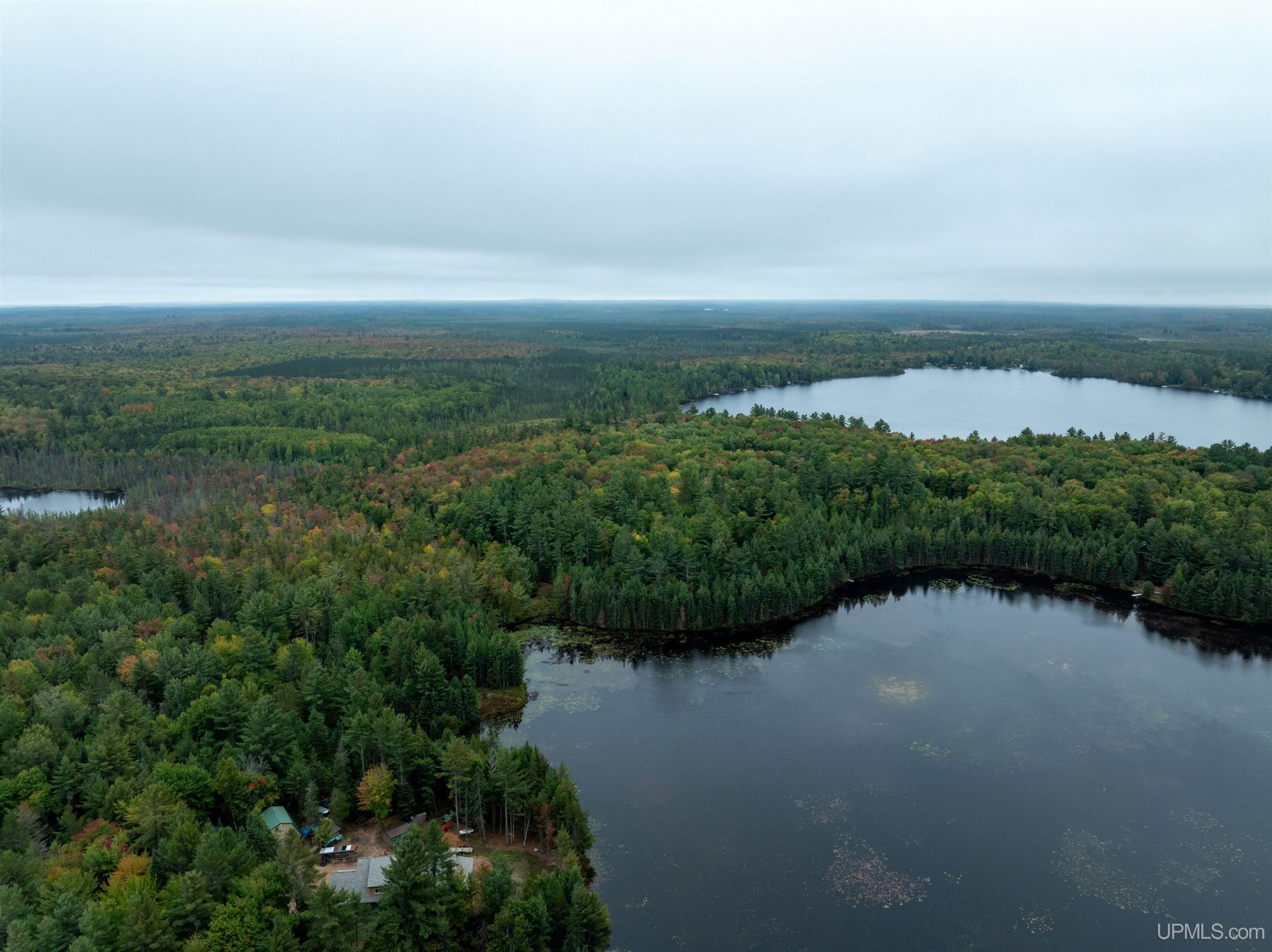 Tbd Leatherleaf Lane Munising, MI 49862 - Photo 11 of 24