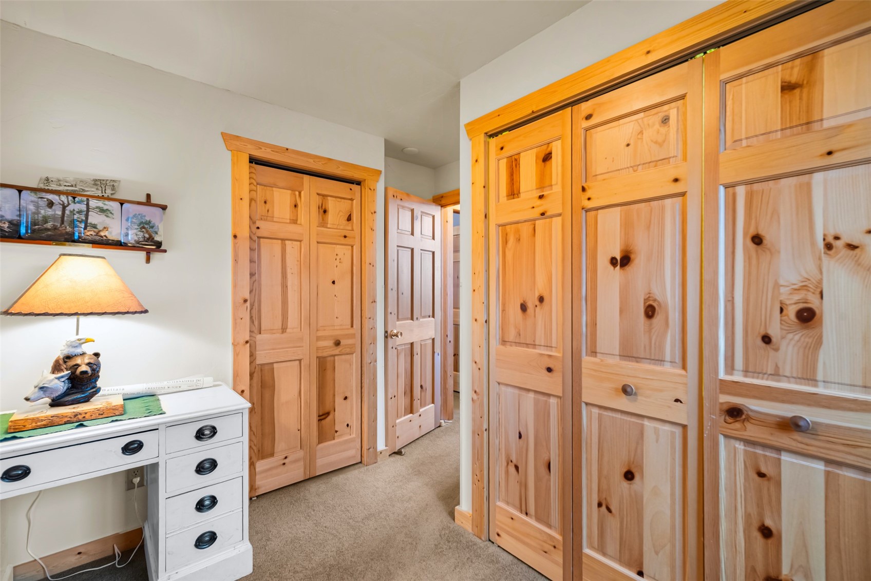 1081 Travois Road Como, CO 80456 - Photo 20 of 44 a view of a bedroom with closet area
