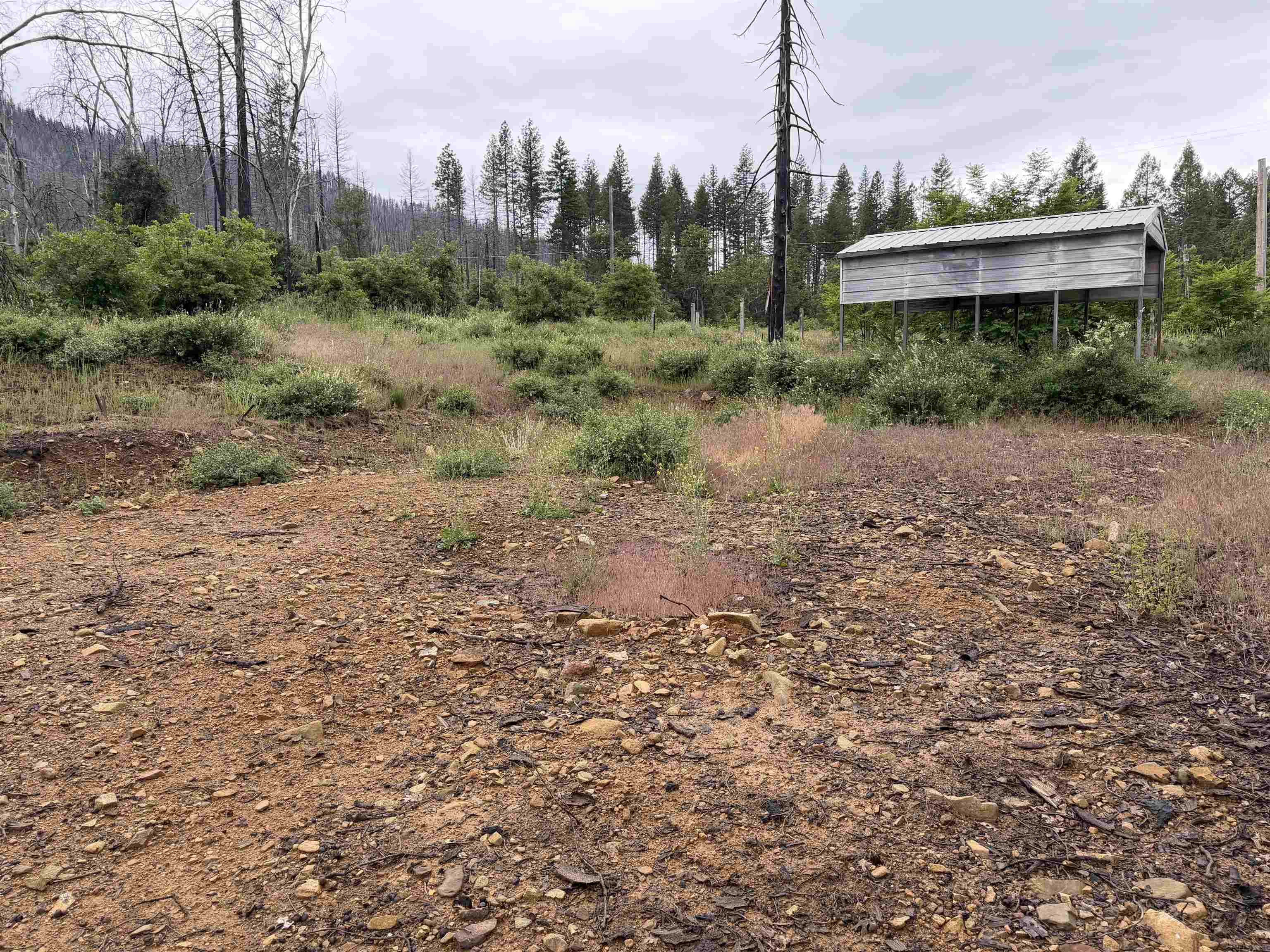 152 Standardt Mine Road Greenville, CA 95947 - Photo 5 of 7