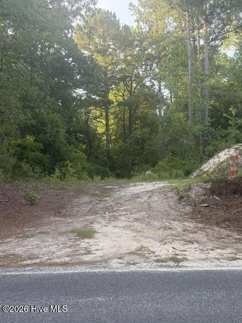 Off Pats Road Vass, NC 28394 - Photo 6 of 11