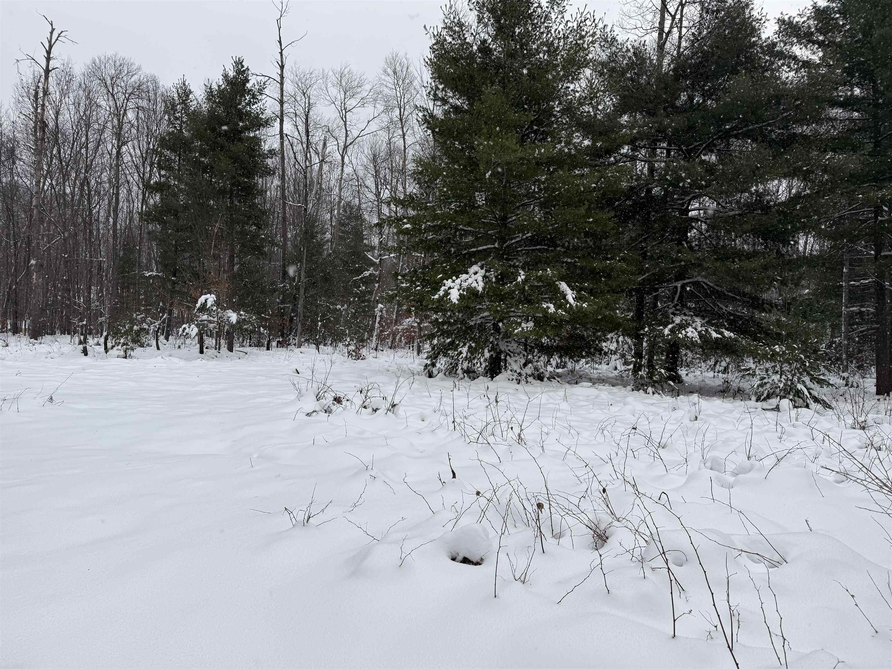 3745 Mason Road Grawn, MI 49637 - Photo 31 of 40 Gallery Image 31