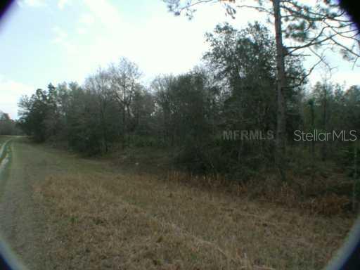 94 Southwest Sw Lane Dunnellon, FL 34432 - Photo 1 of 1 Land