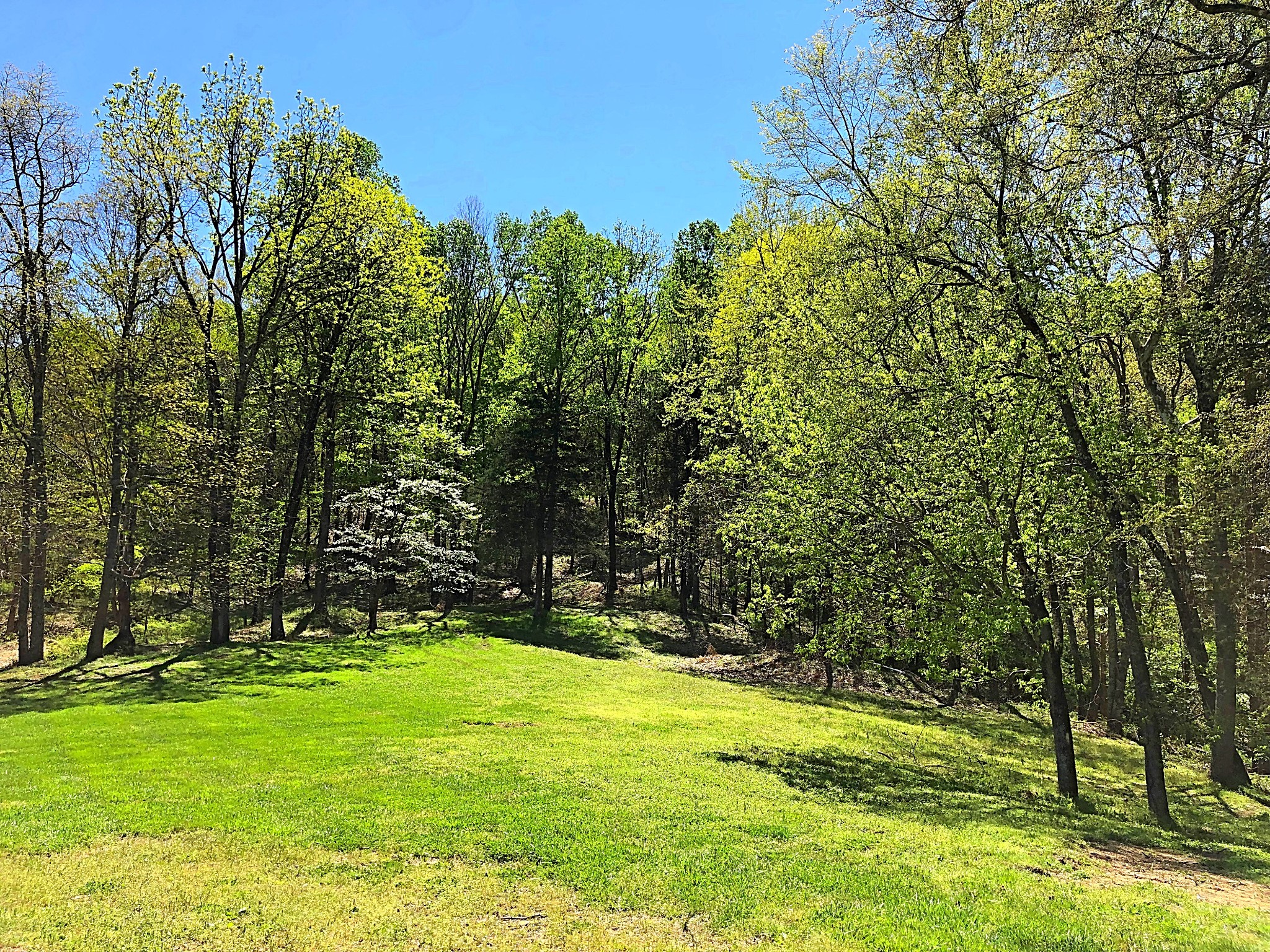 337 Vantrease Lane Gallatin, TN 37066 - Photo 36 of 48