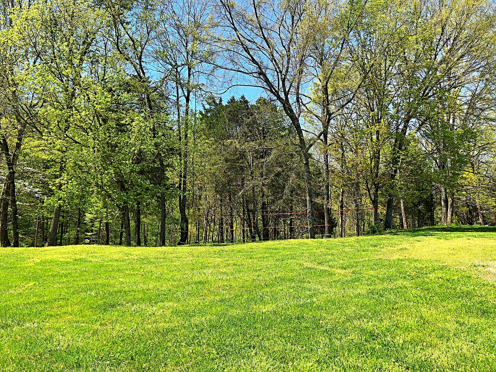 337 Vantrease Lane Gallatin, TN 37066 - Photo 37 of 48