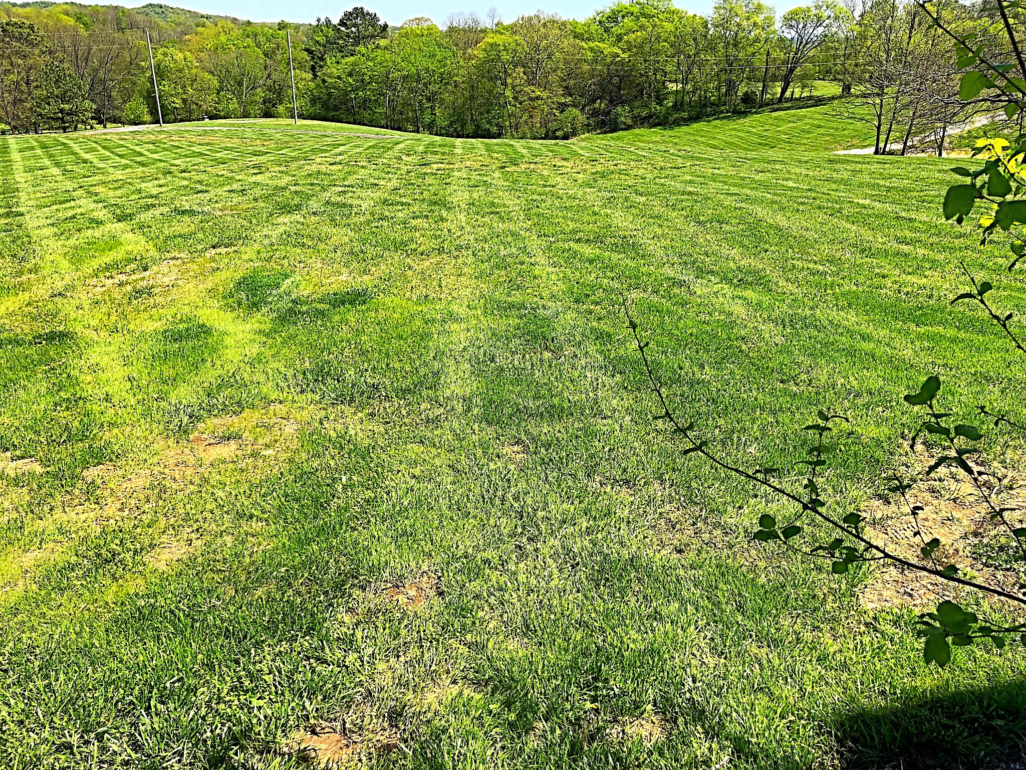 337 Vantrease Lane Gallatin, TN 37066 - Photo 39 of 48