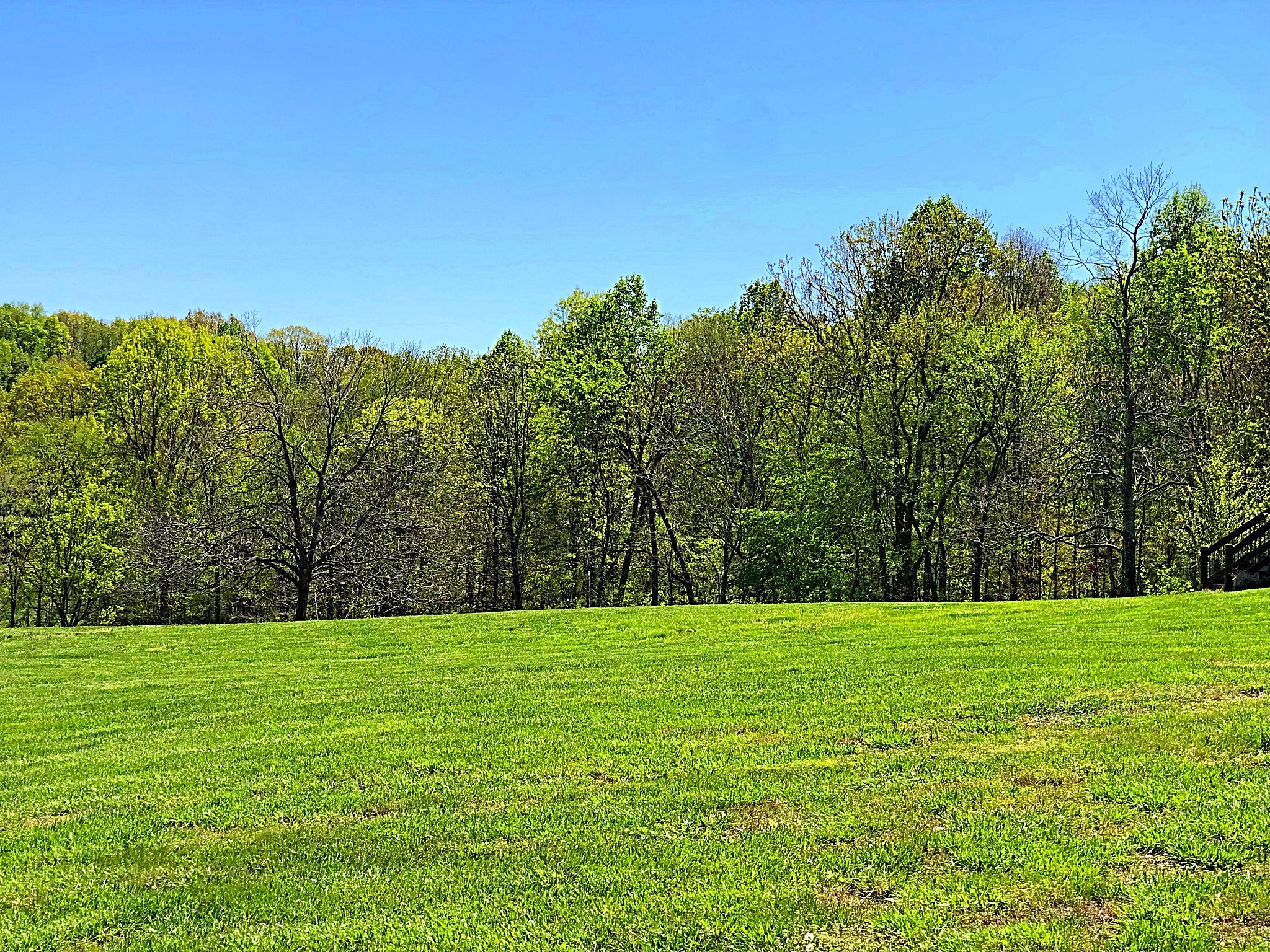 337 Vantrease Lane Gallatin, TN 37066 - Photo 40 of 48