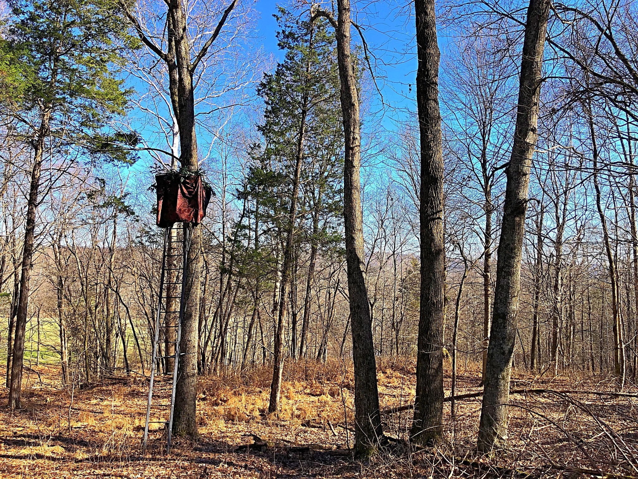 337 Vantrease Lane Gallatin, TN 37066 - Photo 45 of 48