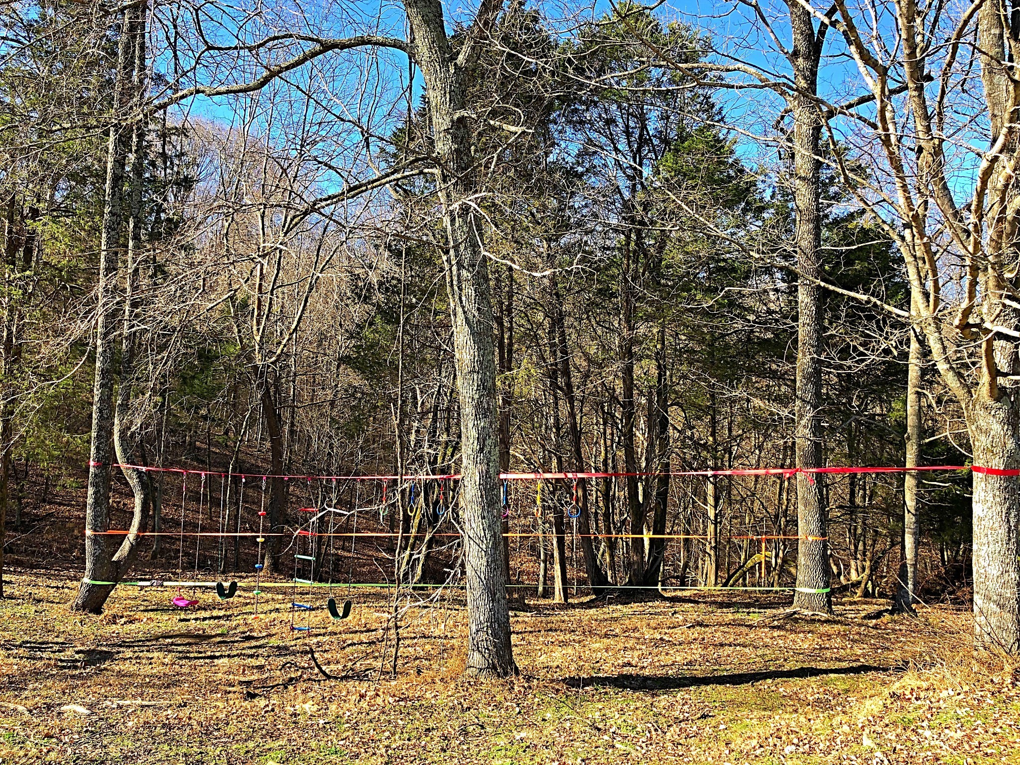 337 Vantrease Lane Gallatin, TN 37066 - Photo 46 of 48