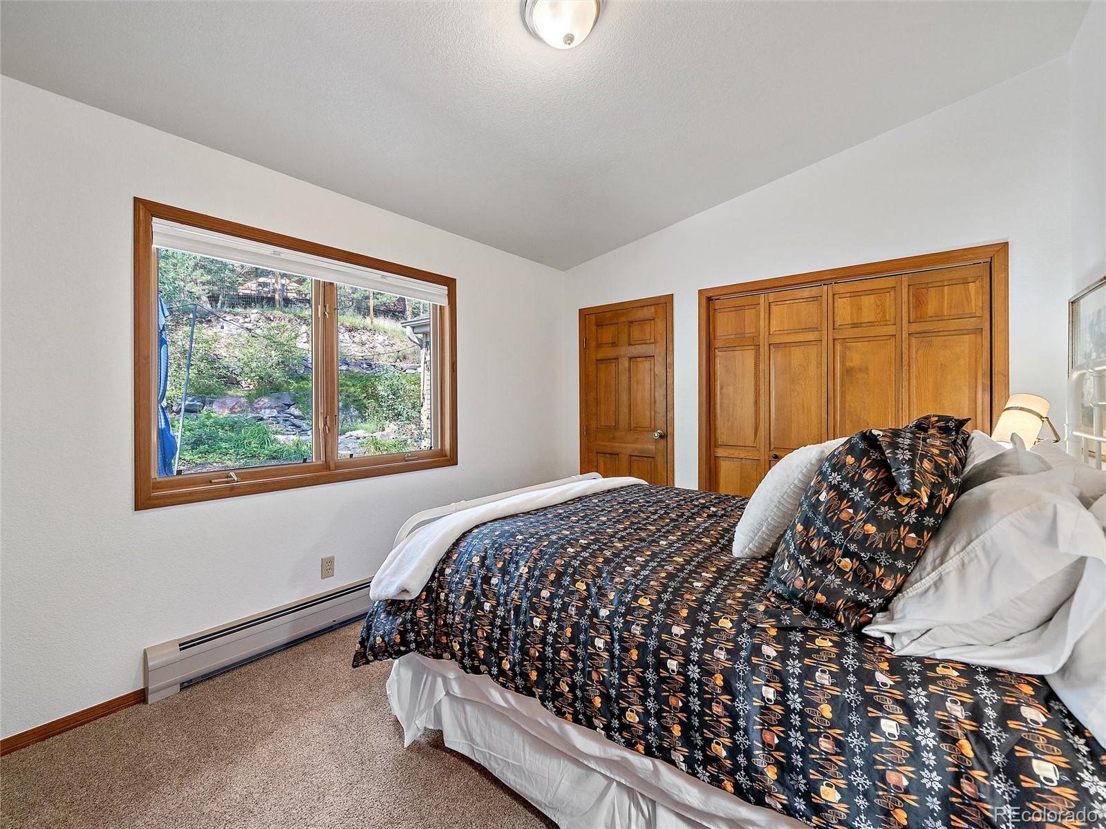 675 Witter Gulch Road Evergreen, CO 80439 - Photo 28 of 47