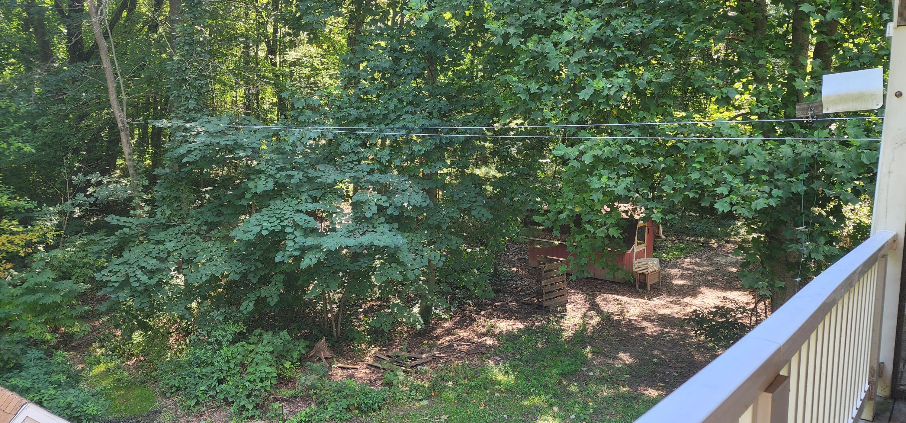 2181 North Bachman Road Hastings, MI 49058 - Photo 17 of 36 20220817_155752