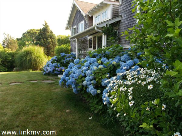 27 Abel's Neck Road Chilmark, MA 02535 - Photo 3 of 15 http://d1qzqeyxiitrap.cloudfront.net/photos/22782/600/f381b67c.jpg