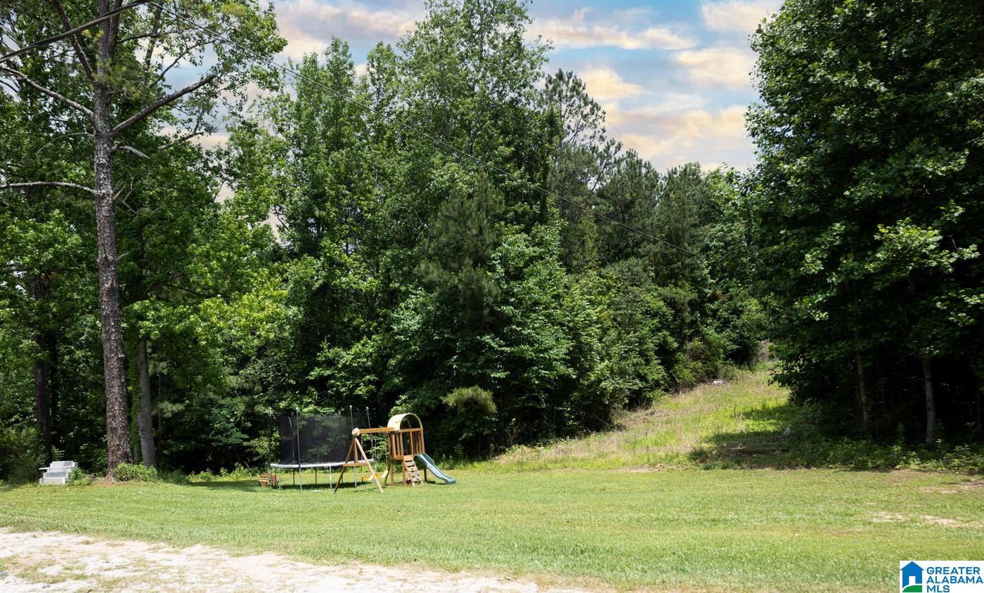 30 County Road 832 Wadley, AL 36276 - Photo 18 of 18