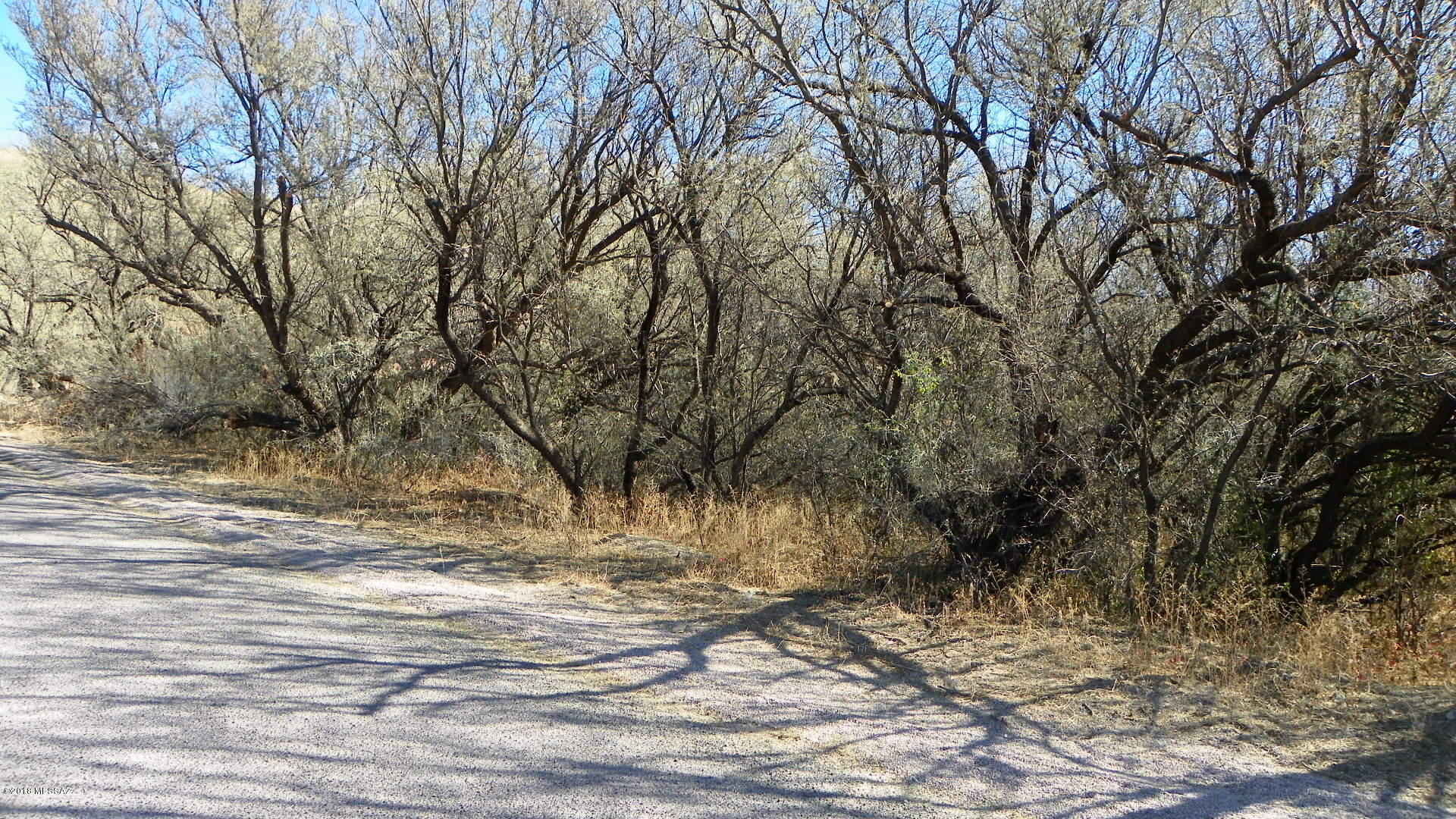 277 Calle Cappela Rio Rico, AZ 85648 - Photo 4 of 5 Gallery Image 4